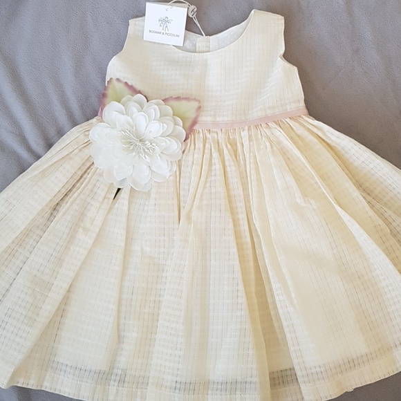 Bognar & Piccolini Other - Bognar & Piccolini Champagne Dress